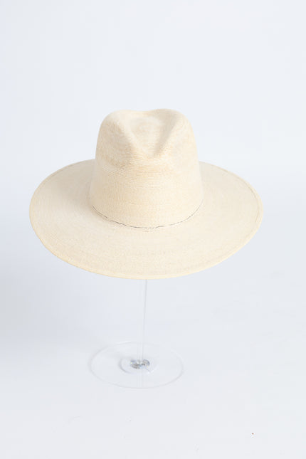 Cowboy palm