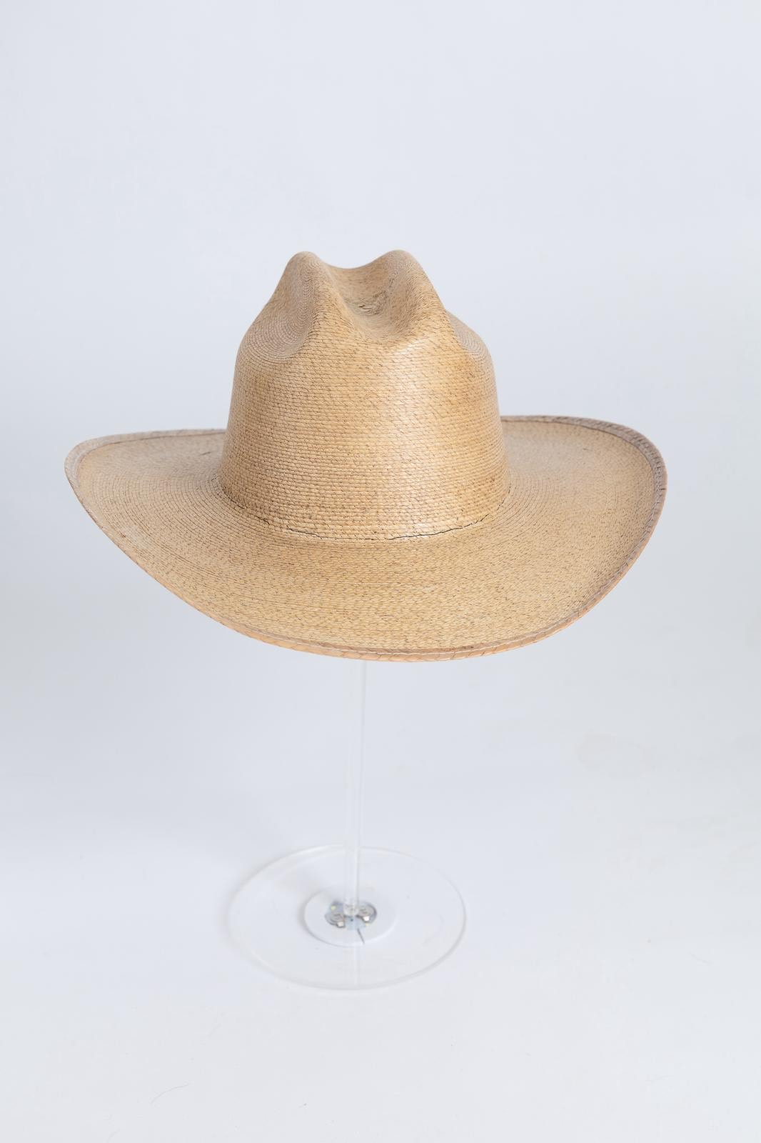 Cowboy palm