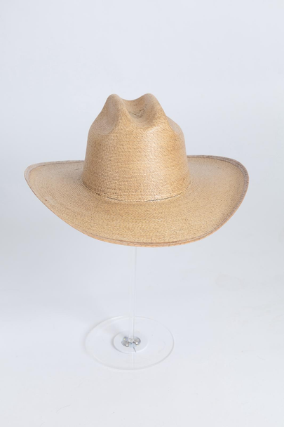 Cowboy palm